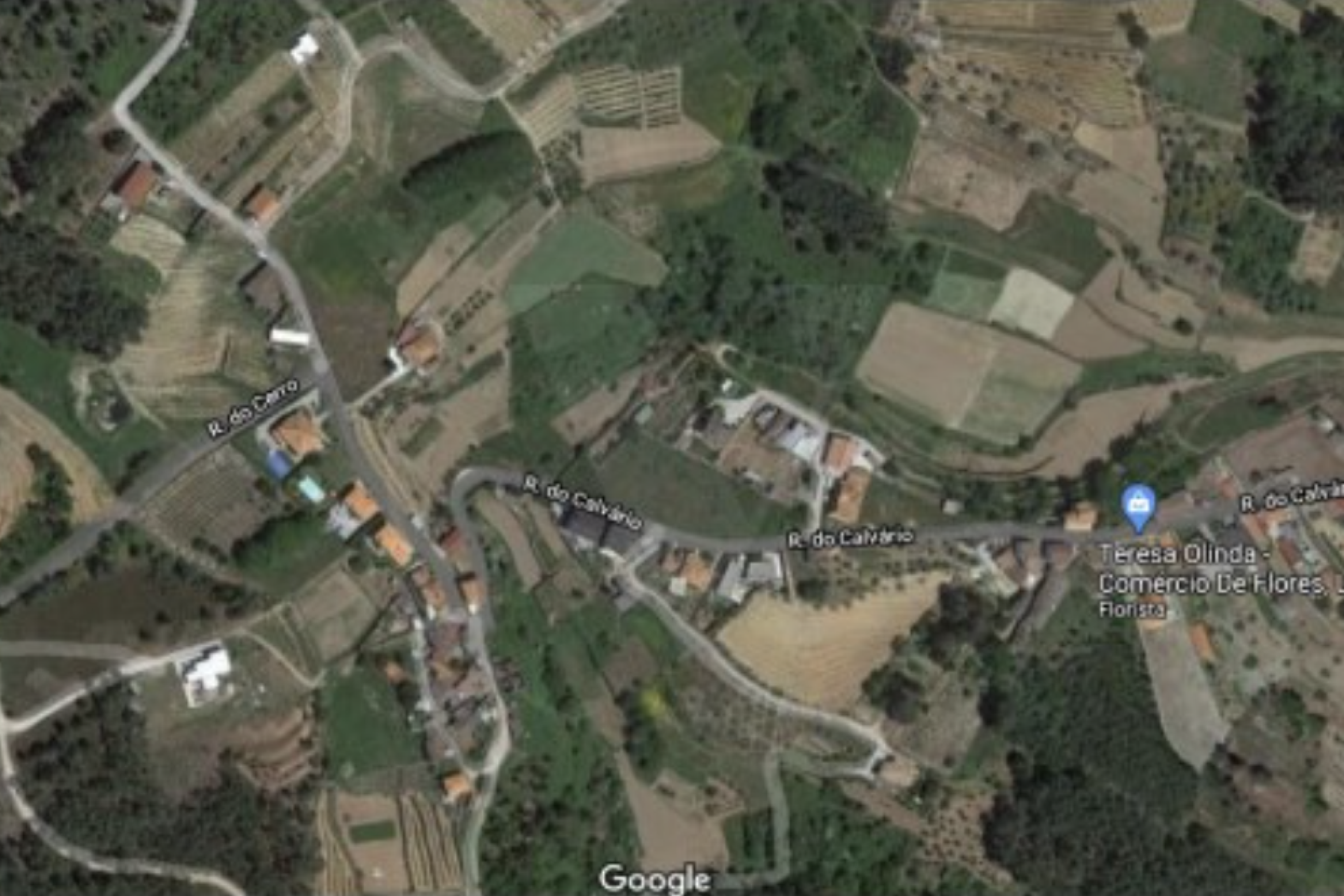 Captura de ecrã 2025-11-13, às 11.33.34