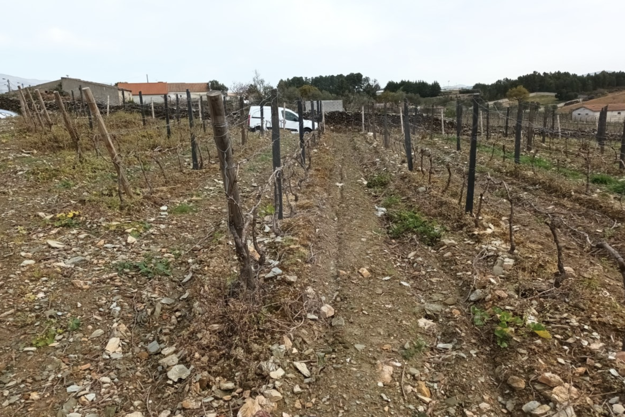 Captura de ecrã 2025-11-13, às 11.49.09