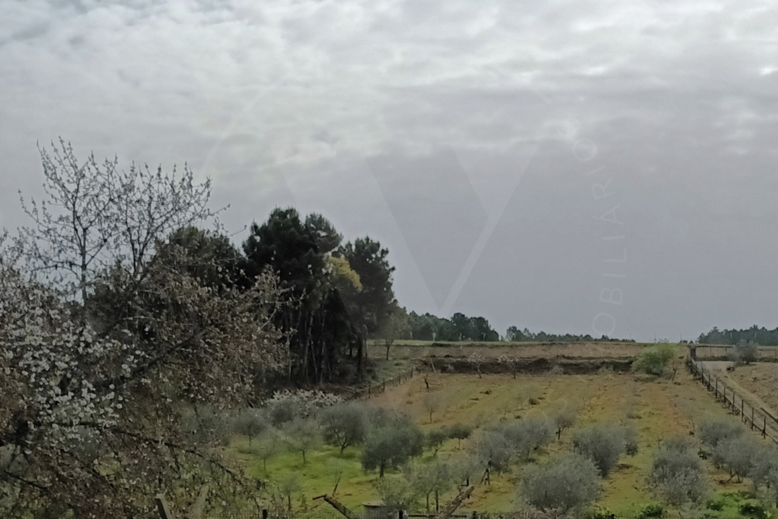 Captura de ecrã 2025-11-13, às 11.49.27