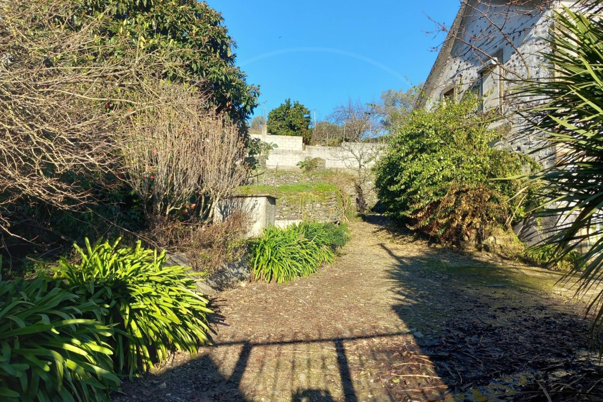 IDaf047801-0000-0500-0000-0000128aa597