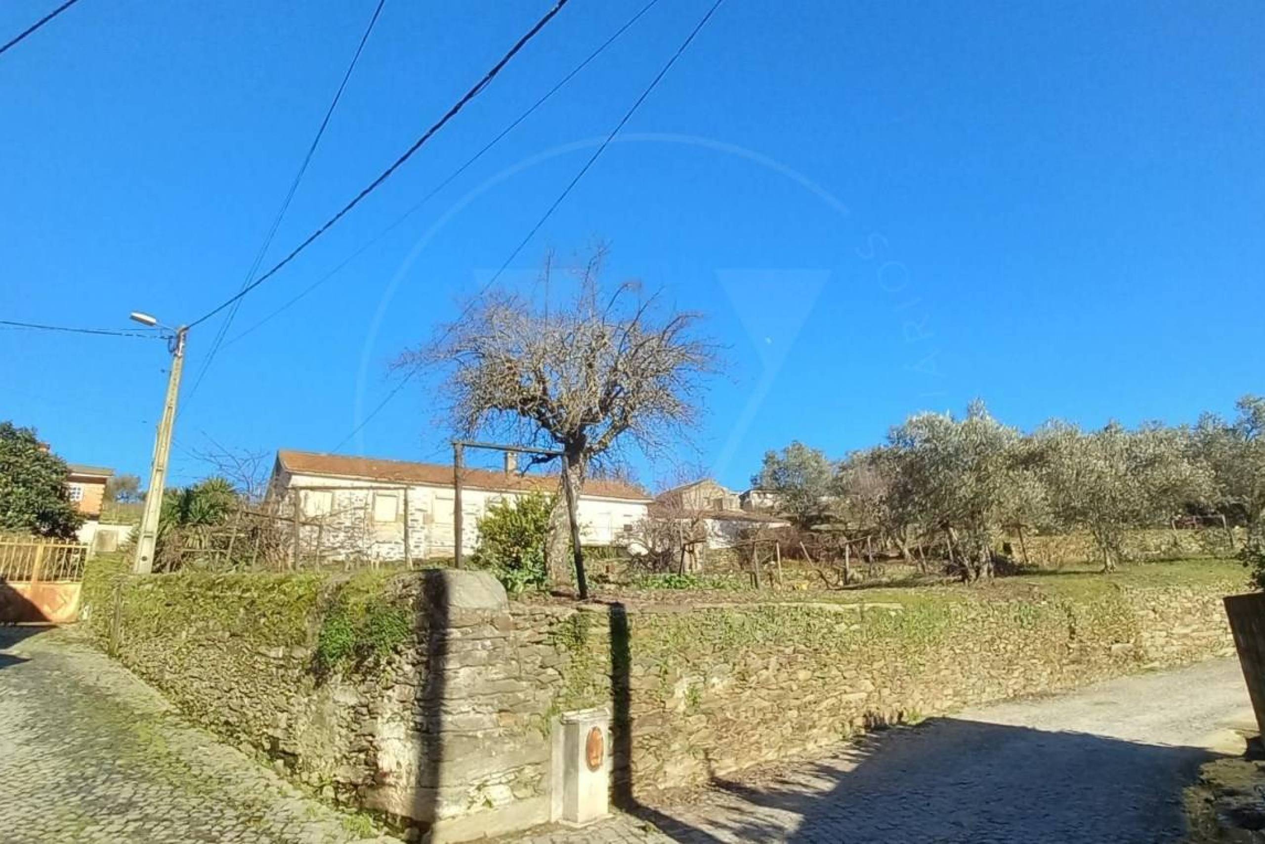 IDaf047801-0000-0500-0000-0000128aa598