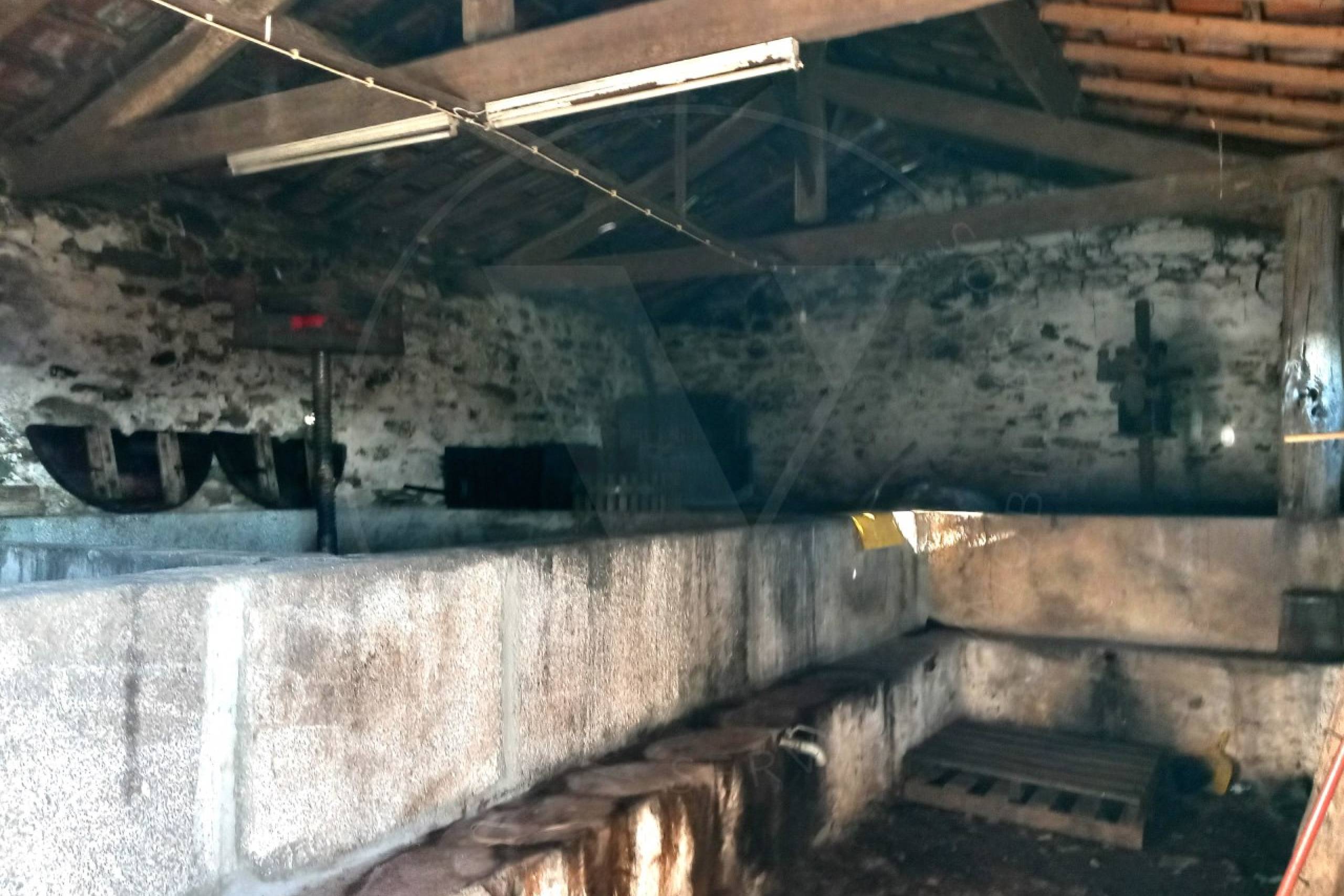 IDaf047801-0000-0500-0000-0000128aa59f