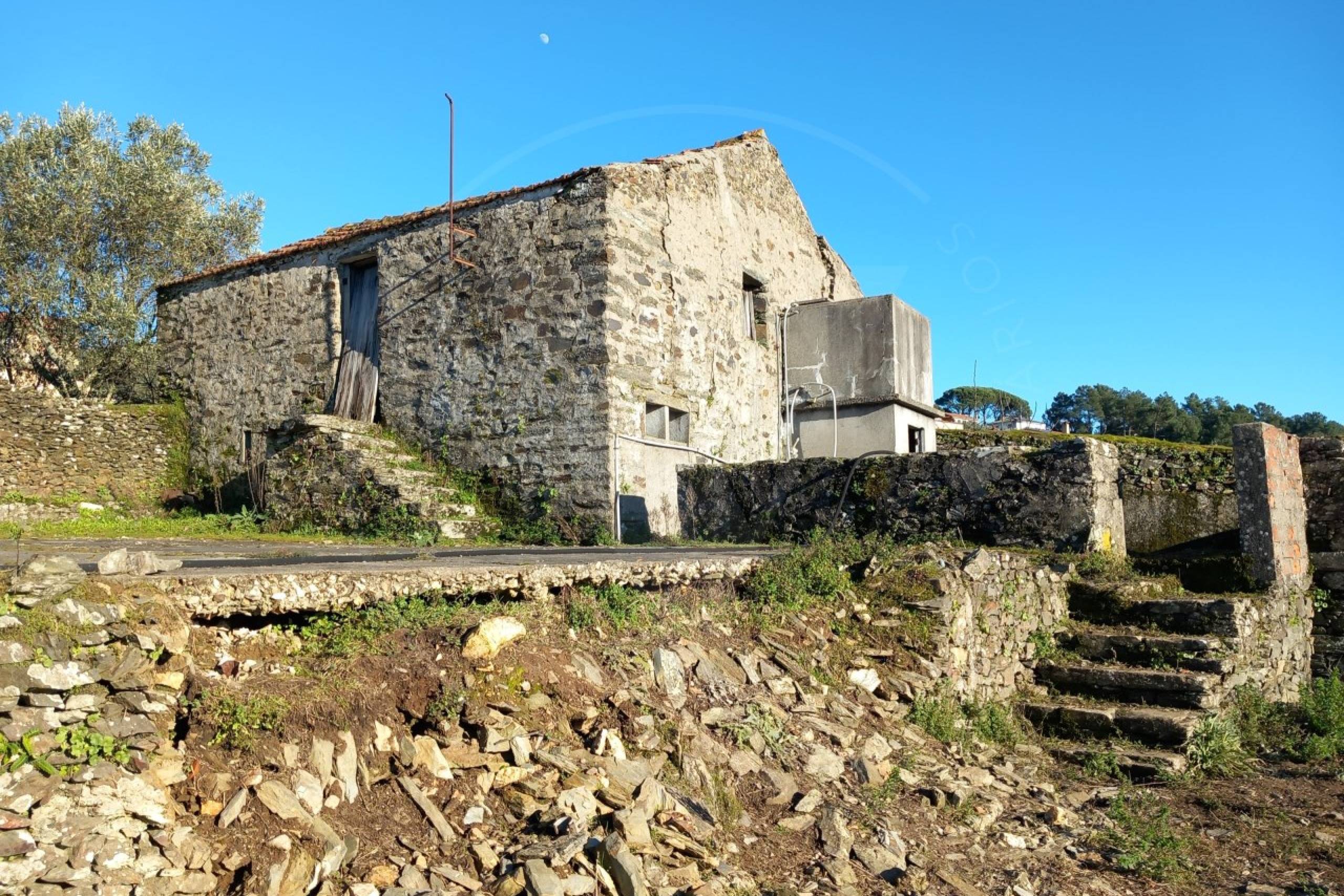 IDaf047801-0000-0500-0000-0000128aa5ad