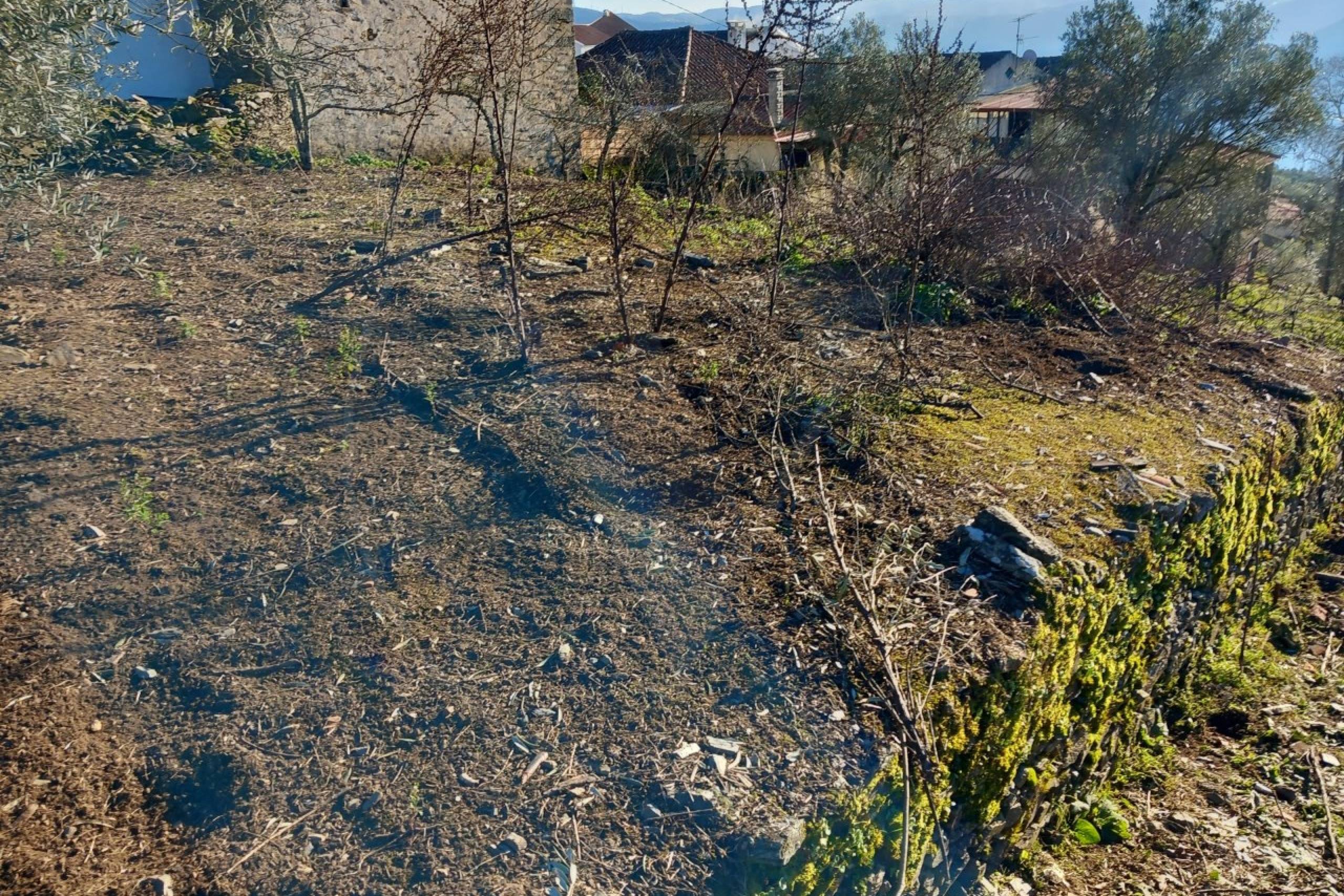 IDaf047801-0000-0500-0000-0000128aa5af