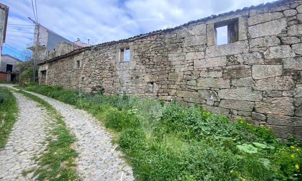 Ruina 4