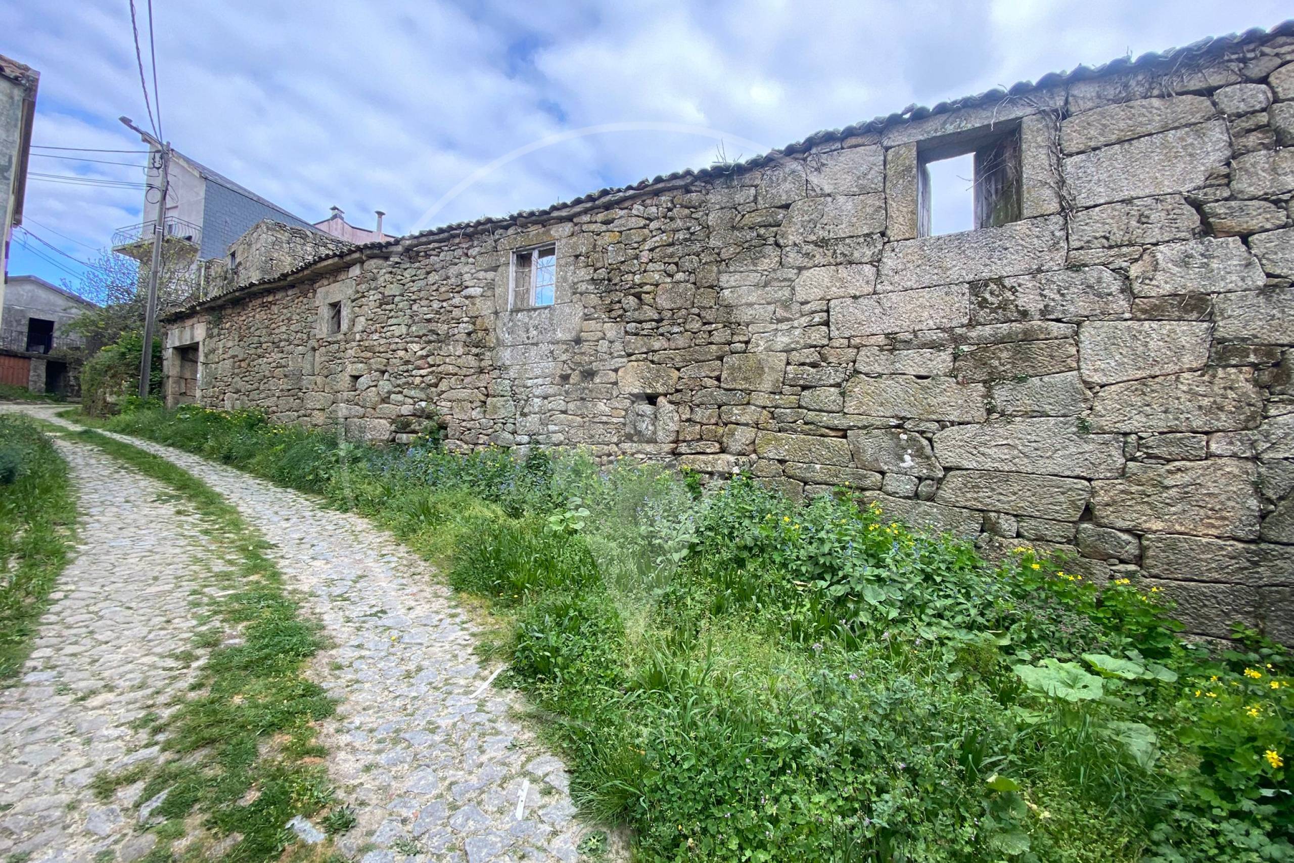 Ruina 4