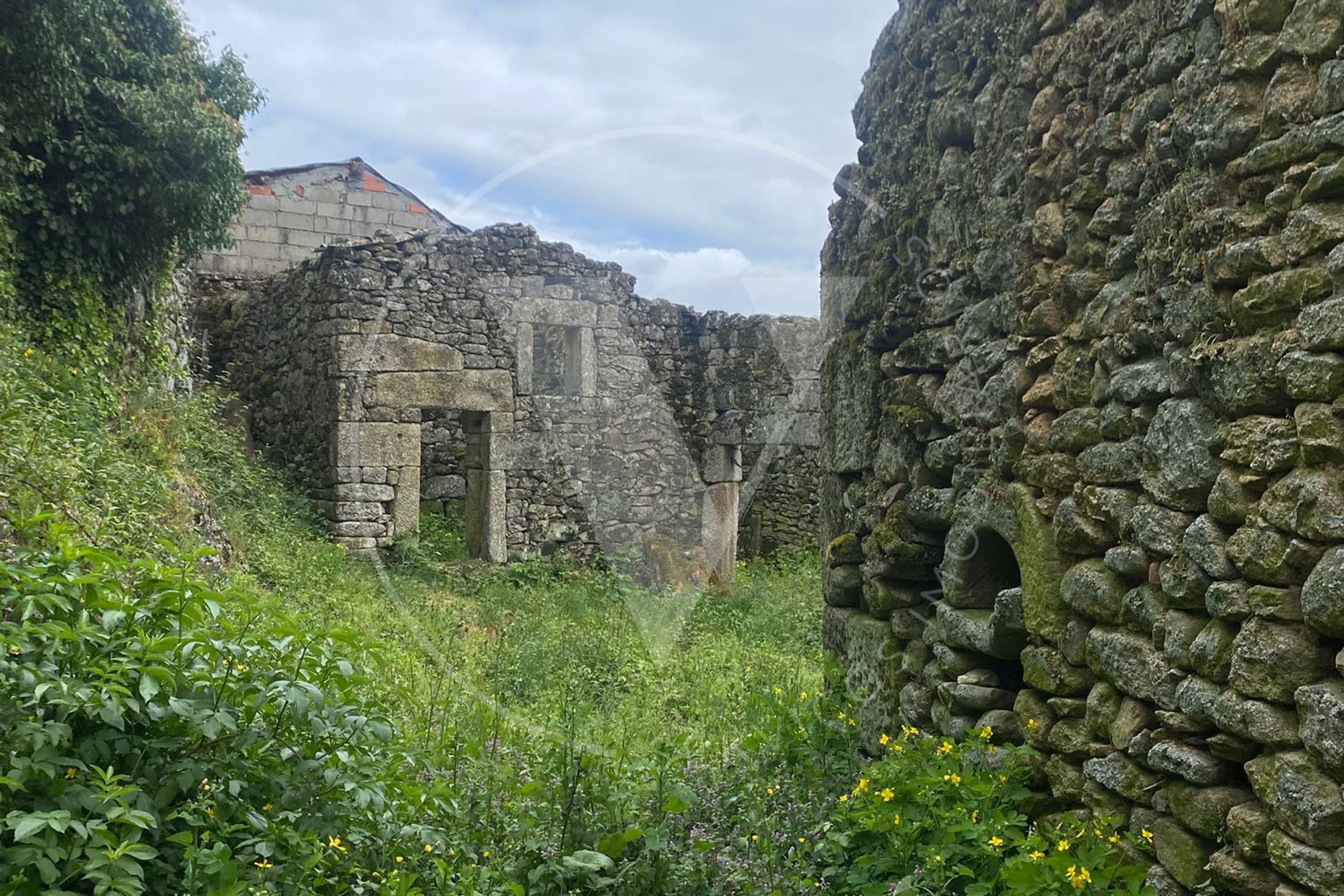 Ruina2