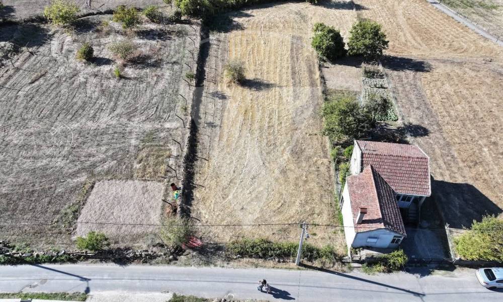Terreno 1
