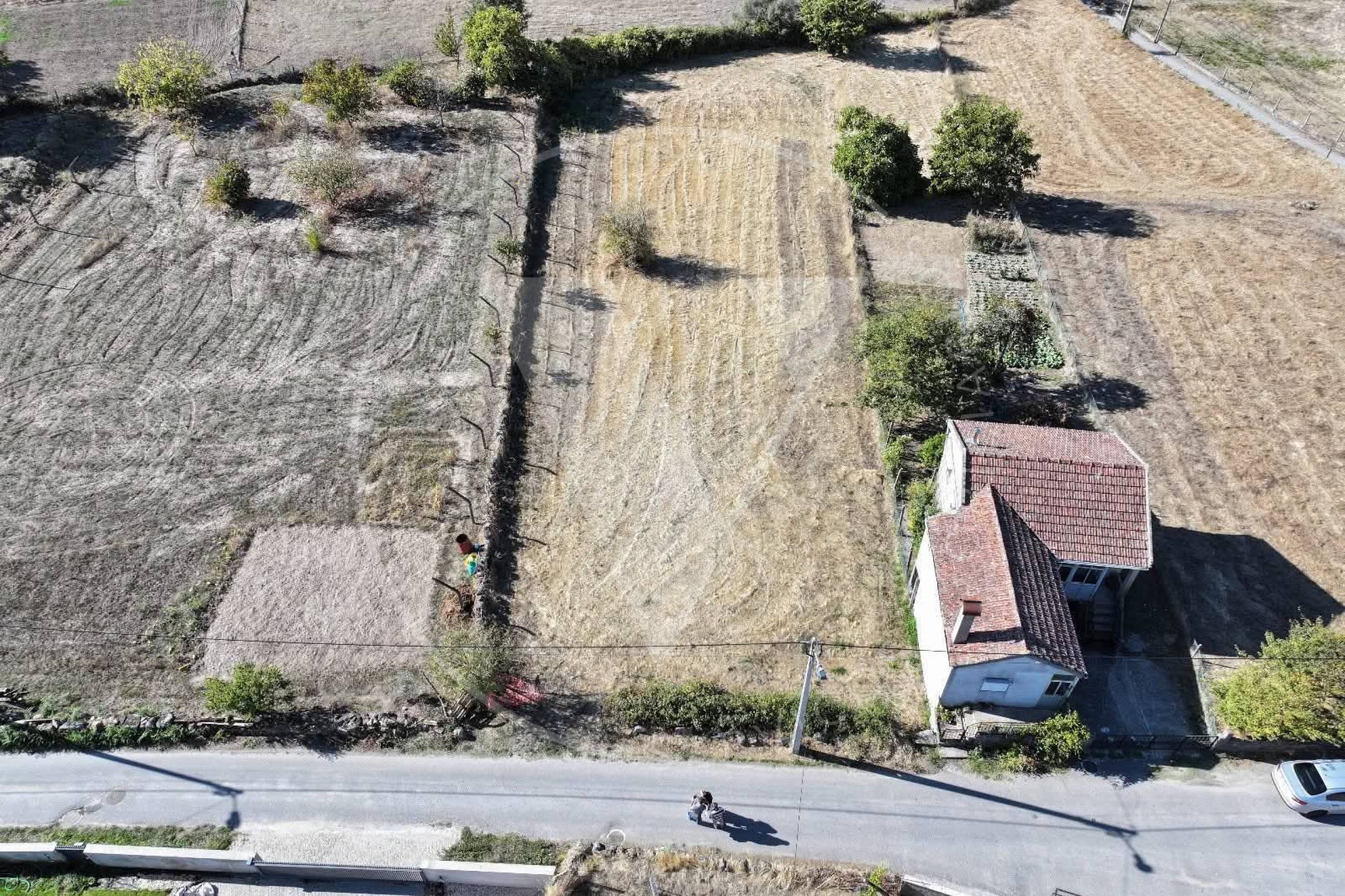 Terreno 1